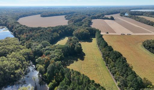 Photo #44 of SOLD property in Off Hwy 301, Halifax, NC 1,057.0 acres