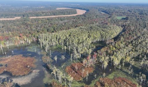 Photo #46 of SOLD property in Off Hwy 301, Halifax, NC 1,057.0 acres