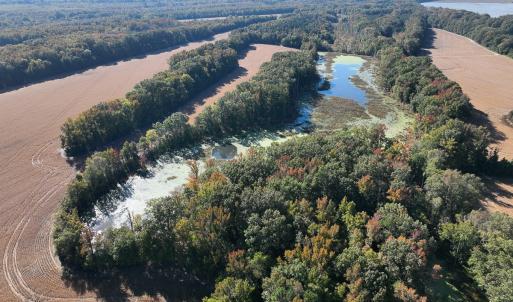 Photo #47 of SOLD property in Off Hwy 301, Halifax, NC 1,057.0 acres