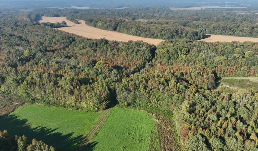 Photo #50 of SOLD property in Off Hwy 301, Halifax, NC 1,057.0 acres