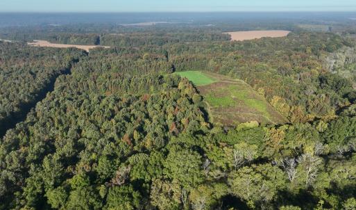 Photo #52 of SOLD property in Off Hwy 301, Halifax, NC 1,057.0 acres