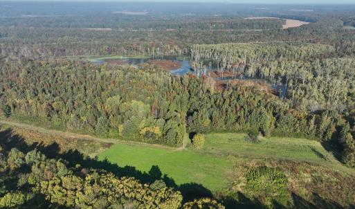 Photo #53 of SOLD property in Off Hwy 301, Halifax, NC 1,057.0 acres