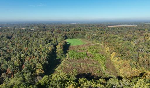 Photo #56 of SOLD property in Off Hwy 301, Halifax, NC 1,057.0 acres