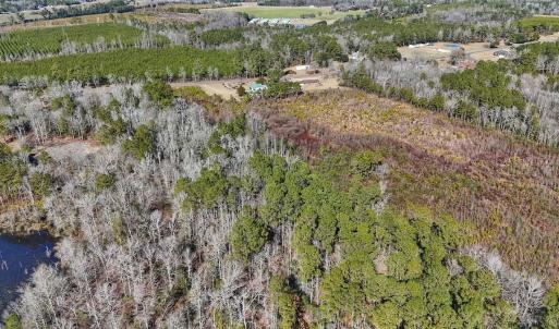 Photo #13 of SOLD property in 1520 Woodyard Rd, Rieglewood, NC 8.9 acres