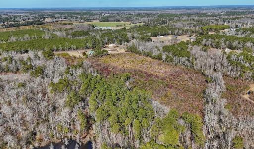 Photo #14 of SOLD property in 1520 Woodyard Rd, Rieglewood, NC 8.9 acres