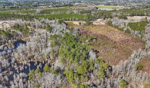 Photo #16 of SOLD property in 1520 Woodyard Rd, Rieglewood, NC 8.9 acres