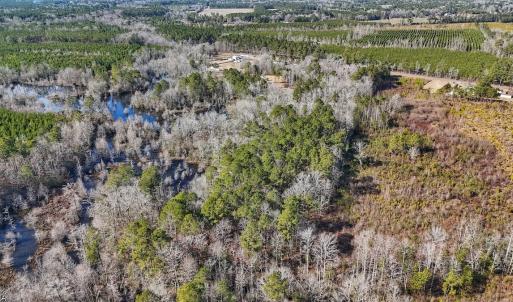 Photo #18 of SOLD property in 1520 Woodyard Rd, Rieglewood, NC 8.9 acres