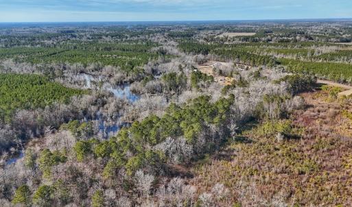 Photo #20 of SOLD property in 1520 Woodyard Rd, Rieglewood, NC 8.9 acres