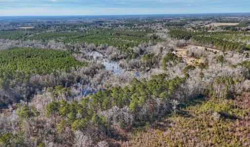 Photo #21 of SOLD property in 1520 Woodyard Rd, Rieglewood, NC 8.9 acres