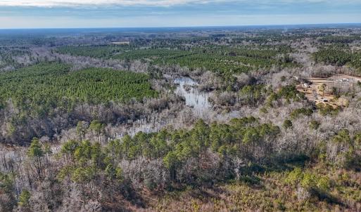Photo #23 of SOLD property in 1520 Woodyard Rd, Rieglewood, NC 8.9 acres