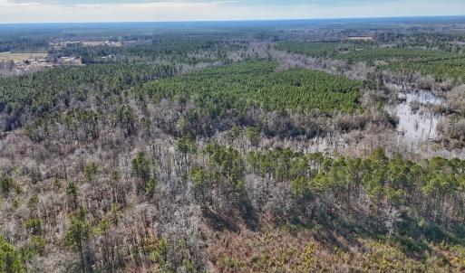 Photo #24 of SOLD property in 1520 Woodyard Rd, Rieglewood, NC 8.9 acres