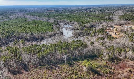 Photo #25 of SOLD property in 1520 Woodyard Rd, Rieglewood, NC 8.9 acres