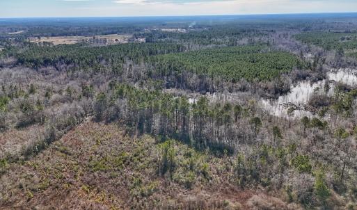 Photo #28 of SOLD property in 1520 Woodyard Rd, Rieglewood, NC 8.9 acres