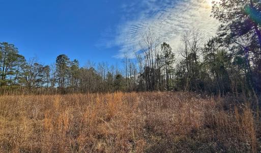 Photo #38 of SOLD property in 1520 Woodyard Rd, Rieglewood, NC 8.9 acres