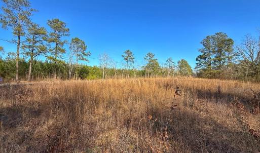 Photo #39 of SOLD property in 1520 Woodyard Rd, Rieglewood, NC 8.9 acres