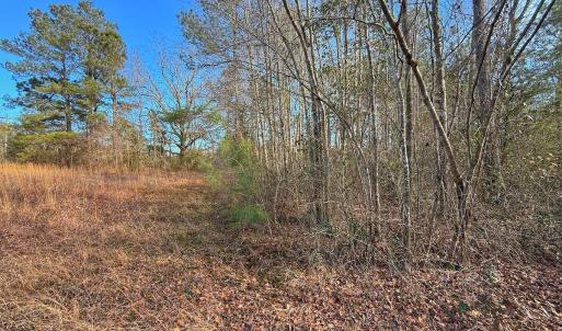 Photo #40 of SOLD property in 1520 Woodyard Rd, Rieglewood, NC 8.9 acres