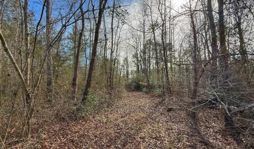 Photo #41 of SOLD property in 1520 Woodyard Rd, Rieglewood, NC 8.9 acres
