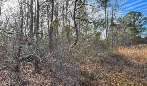 Photo #42 of SOLD property in 1520 Woodyard Rd, Rieglewood, NC 8.9 acres