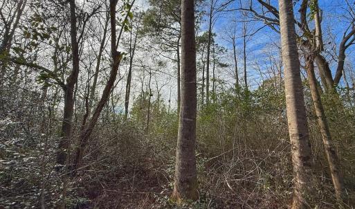 Photo #43 of SOLD property in 1520 Woodyard Rd, Rieglewood, NC 8.9 acres