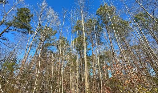 Photo #44 of SOLD property in 1520 Woodyard Rd, Rieglewood, NC 8.9 acres