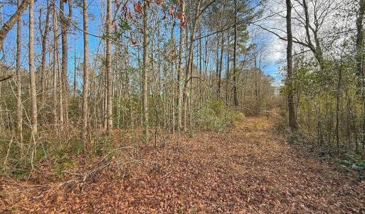 Photo #45 of SOLD property in 1520 Woodyard Rd, Rieglewood, NC 8.9 acres