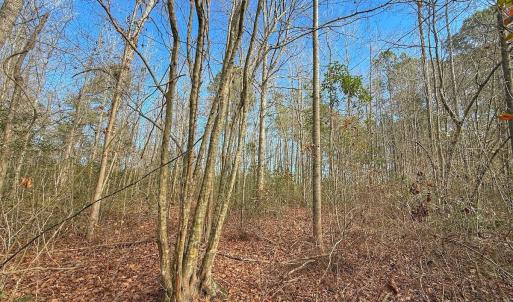 Photo #47 of SOLD property in 1520 Woodyard Rd, Rieglewood, NC 8.9 acres
