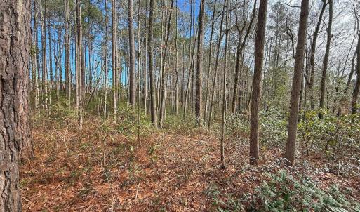 Photo #48 of SOLD property in 1520 Woodyard Rd, Rieglewood, NC 8.9 acres