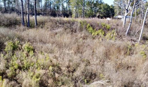 Photo #15 of SOLD property in US 421 S, Erwin, NC 3.4 acres