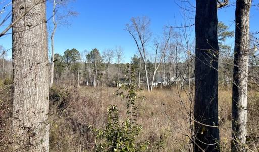 Photo #17 of SOLD property in US 421 S, Erwin, NC 3.4 acres