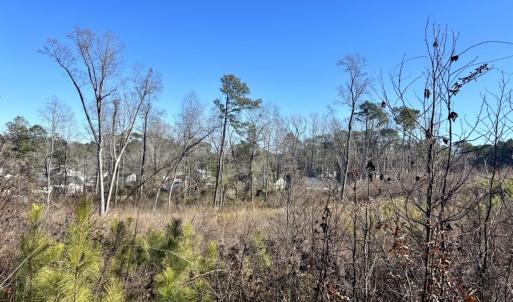 Photo #19 of SOLD property in US 421 S, Erwin, NC 3.4 acres