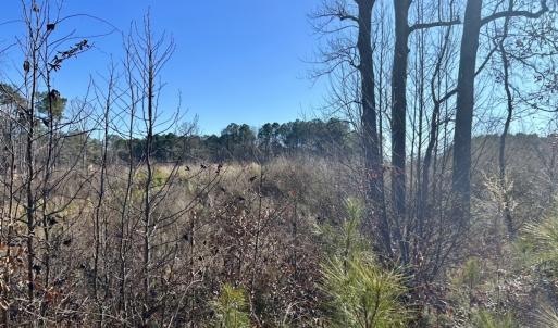 Photo #20 of SOLD property in US 421 S, Erwin, NC 3.4 acres