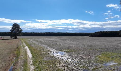 Photo #1 of Off Daniels Rd, Corapeake, NC 82.4 acres