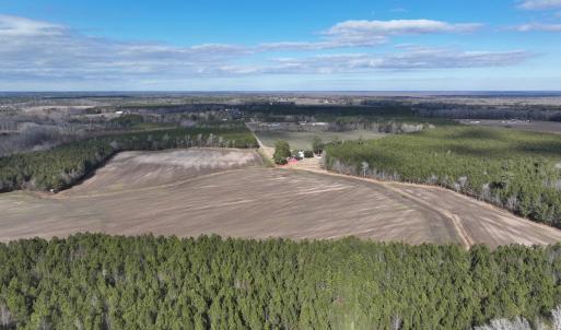 Photo #10 of Off Daniels Rd, Corapeake, NC 82.4 acres