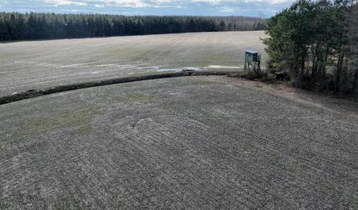 Photo #11 of Off Daniels Rd, Corapeake, NC 82.4 acres