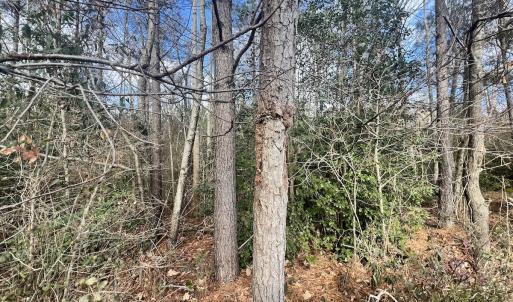 Photo #12 of Off Daniels Rd, Corapeake, NC 82.4 acres