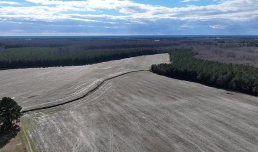 Photo #2 of Off Daniels Rd, Corapeake, NC 82.4 acres