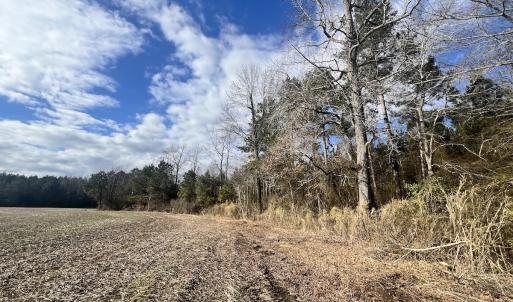 Photo #7 of Off Daniels Rd, Corapeake, NC 82.4 acres