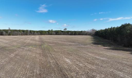 Photo #8 of Off Daniels Rd, Corapeake, NC 82.4 acres