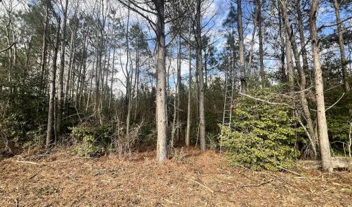 Photo #9 of Off Daniels Rd, Corapeake, NC 82.4 acres