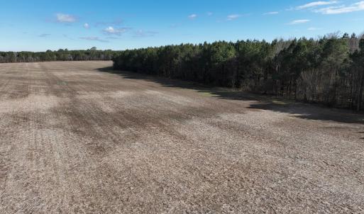 Photo #19 of Off Daniels Rd, Corapeake, NC 82.4 acres