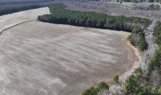 Photo #13 of Off Daniels Rd, Corapeake, NC 82.4 acres