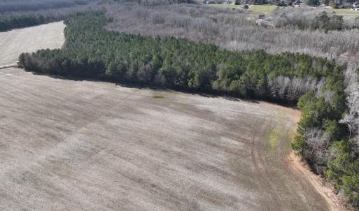 Photo #14 of Off Daniels Rd, Corapeake, NC 82.4 acres