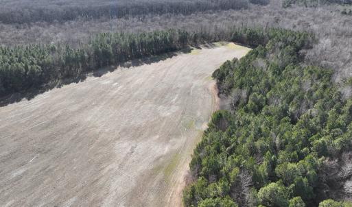 Photo #16 of Off Daniels Rd, Corapeake, NC 82.4 acres
