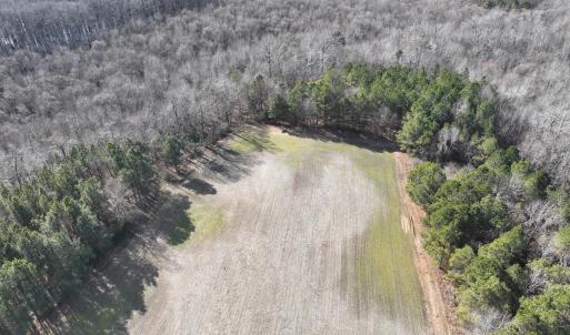 Photo #17 of Off Daniels Rd, Corapeake, NC 82.4 acres