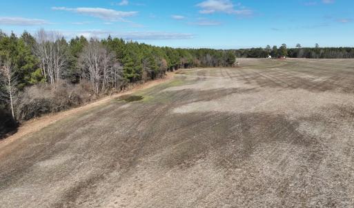 Photo #20 of Off Daniels Rd, Corapeake, NC 82.4 acres