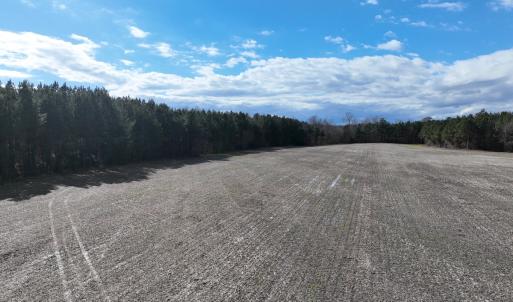 Photo #22 of Off Daniels Rd, Corapeake, NC 82.4 acres
