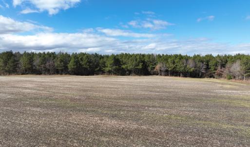 Photo #23 of Off Daniels Rd, Corapeake, NC 82.4 acres