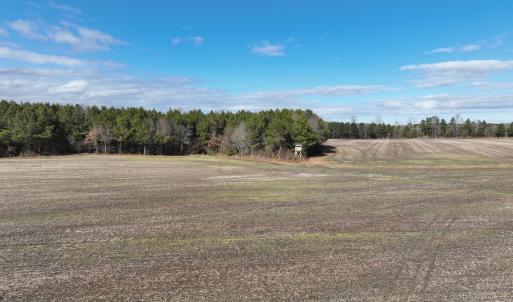 Photo #24 of Off Daniels Rd, Corapeake, NC 82.4 acres