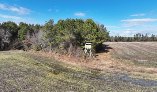 Photo #25 of Off Daniels Rd, Corapeake, NC 82.4 acres