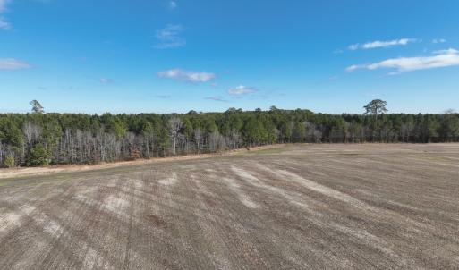 Photo #26 of Off Daniels Rd, Corapeake, NC 82.4 acres